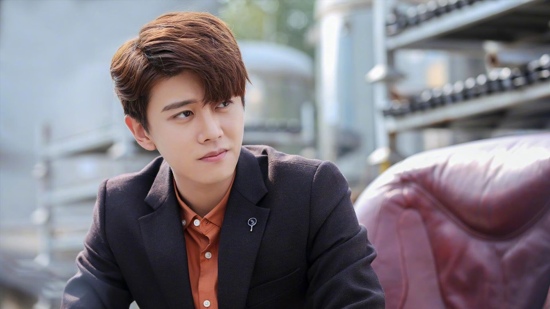 赛道上的隐形战机与脱缰野马,哈斯完爆索伯,维斯塔潘新王加冕