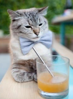 冰与火,佩佩以传奇告别,点燃里斯本不眠夜