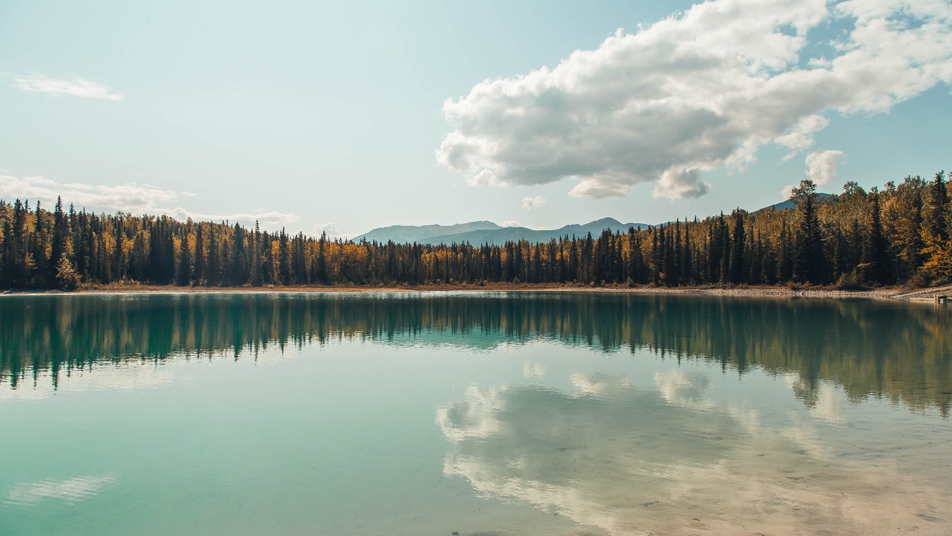 赛道上的破晓时刻，红牛二队逆转乾坤，诺里斯以破纪录之光刺破长夜
