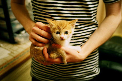 奥地利队奇迹般完胜日本队，张继科状态火热引热议