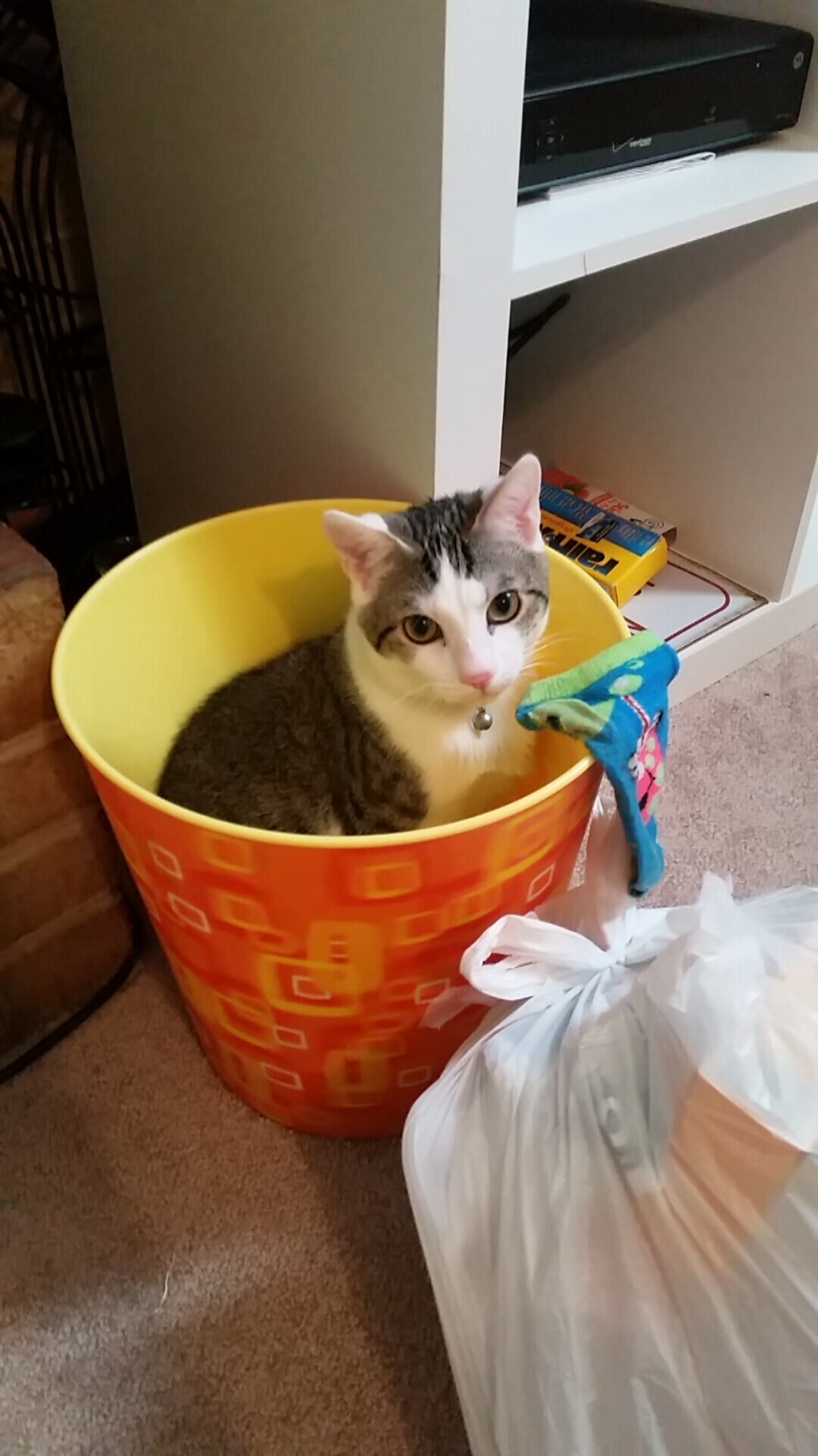 魔术三变，争冠战中擒狼，保罗化身终极魔法师