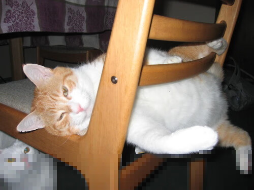 当夜刃出鞘，年度焦点之战如何沦为布克的个人背景板