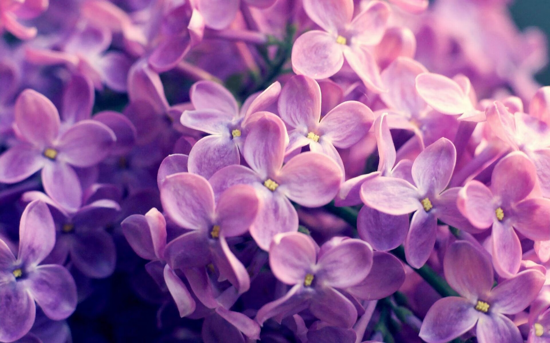 看到美加墨世界杯焦点战，灰熊火力压制吉林队这个组合，确实需要一些独特的视角来解读。这很可能是一场充满隐喻的、横跨篮球与足球、职业与地域文化的特殊对话