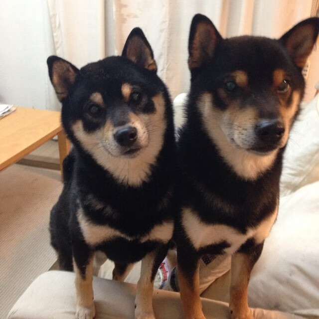 奇袭时刻，篮球与足球的跨界绝杀盛宴