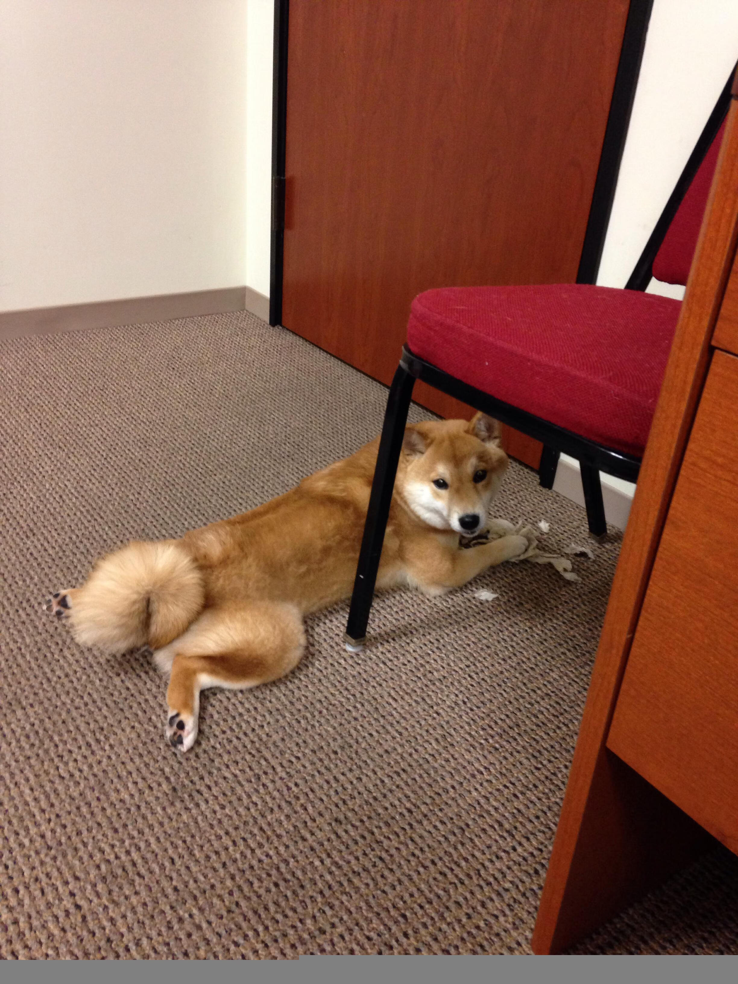 当欧冠硝烟遇见金州风暴，一场跨界定义的唯一性焦点战