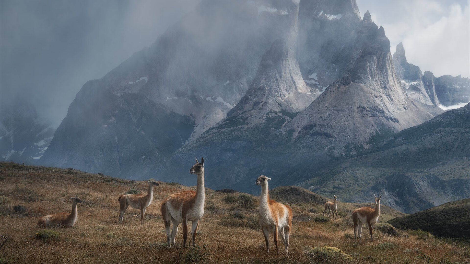 铁血蓝黑，王者加冕，国际米兰欧冠半决赛制霸塞维利亚全纪实