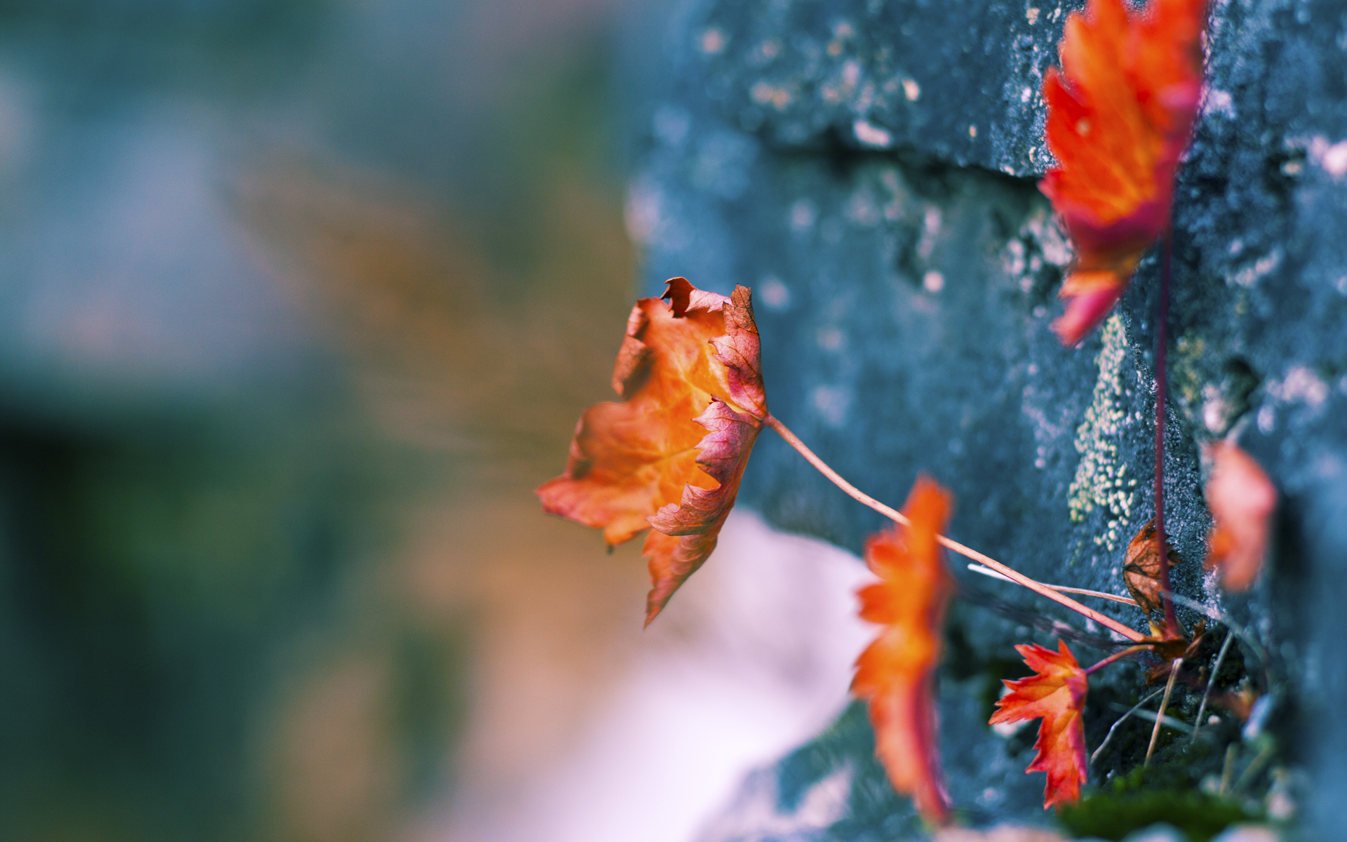 核心淬炼，英格拉姆与76人的关键时刻艺术