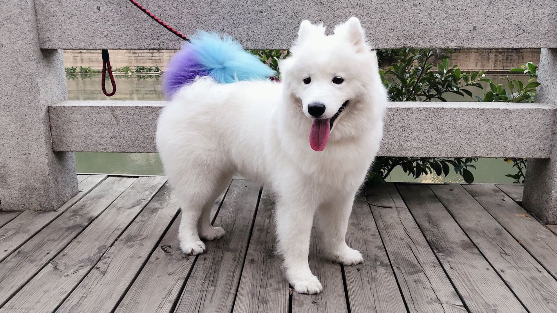 一柱擎天，武切维奇末节连斩11分锁定东决之门