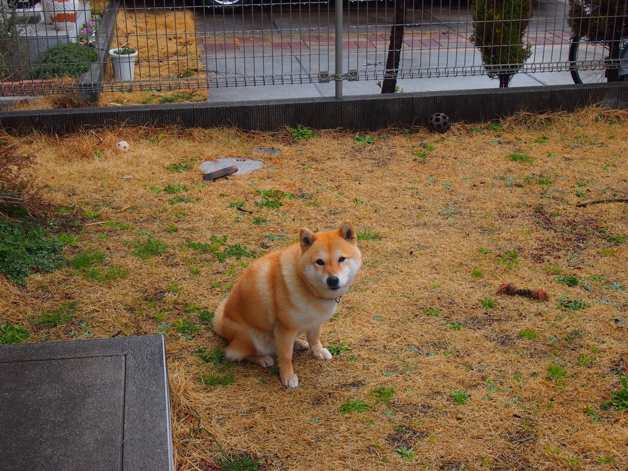 欧冠决赛激情再现篮球场，76人焦点战力克黄蜂，争冠之路再进一步