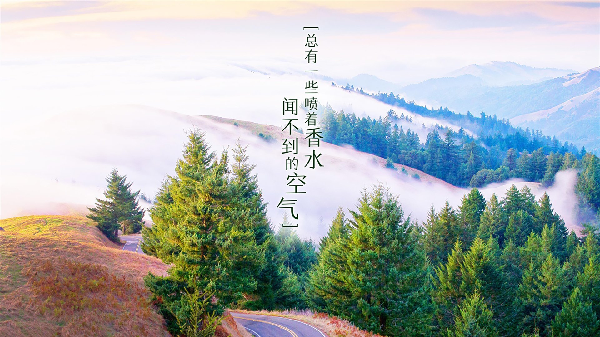 帕尔默孤星闪耀非洲夜，克罗地亚黄金一代的叹息与新生