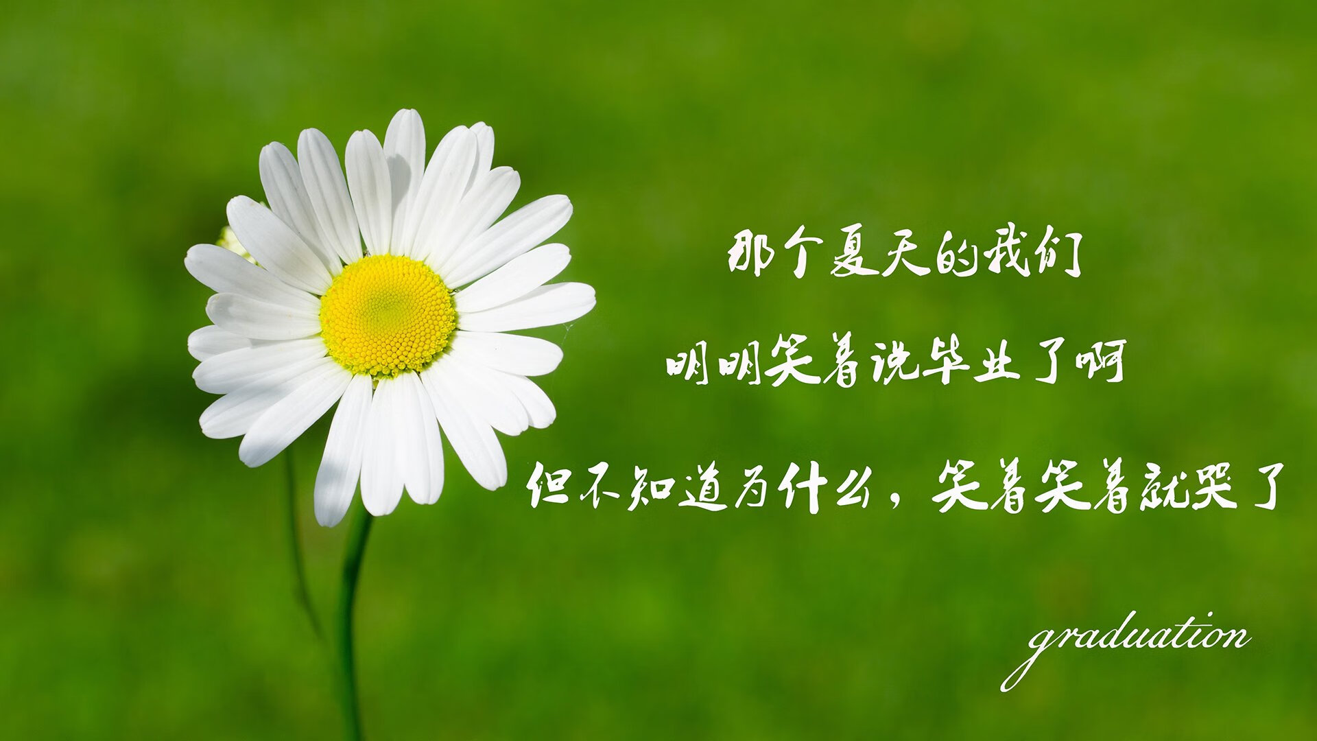 最后一秒的呼吸—2026世界杯C组，德国绝杀匈牙利，巴雷拉完成致命一击